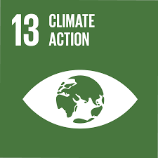 Sustainable Development Goal 13 Take urgent action to combat climate change and its impacts