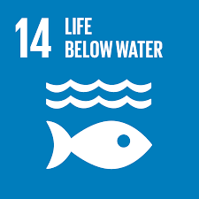 Sustainable Development Goal 14 Conserve and sustainably use the oceans, seas and marine resources for sustainable development 